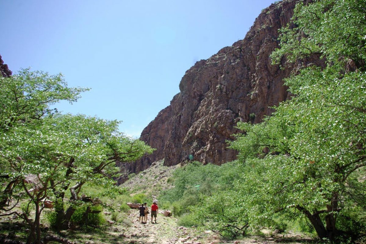 Hiking Hiking